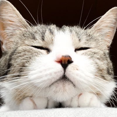 まさい's profile picture