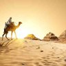 🦅🦅🇪🇬مصرى🇪🇬🦅🦅 profil fotoğrafı