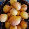Migrega 的头像