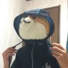 ハギャ 的头像