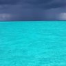 Фото профиля lynne walton