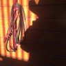 WhoaCowboy profil fotoğrafı