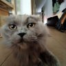 AleBlanco profil fotoğrafı