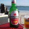 bintan profil fotoğrafı