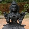 A K Mahajan's profile picture