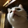 Let's はるきんげすと 的头像