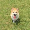 hal_kun profil fotoğrafı