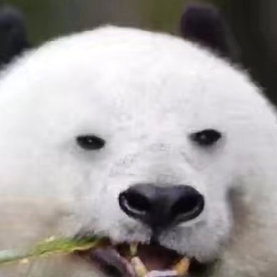 Gary's profile picture