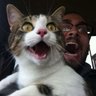 なお吉's profile picture