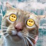 ArchWk's profile picture