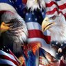 Patriot Educator's profile picture
