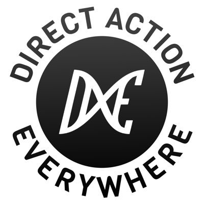 DxEverywhere's profile picture