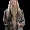 Dumbledore's profile picture