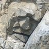 Фото профиля Stoneface