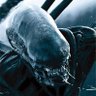 Profilbild von Xenomorph
