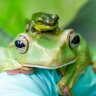 Фото профиля Giancarlo