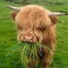 Profilbild von Martin