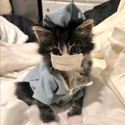 CatsJobs's profile picture