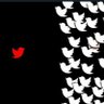 Jerseyan's profile picture