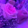 s❤️. profil fotoğrafı