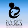 Fundación C.I.M.A. Chile 的头像