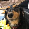 56711f.'s profile picture