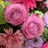 Profilbild von yu😊sw🇰🇷🇯🇵