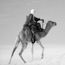 Фото профиля أبو محمد الشمري