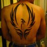 Leo ♌ 🦁 Kaiser🐉 profil fotoğrafı