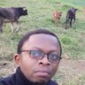 Karel Muhongya 的头像