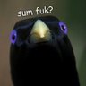 Profilbild von Mist Crow
