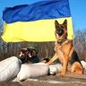 Profilbild von РусьКиїв Україна