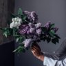 ساره 🦋's profile picture