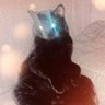 Profilbild von 熊猫快跑。