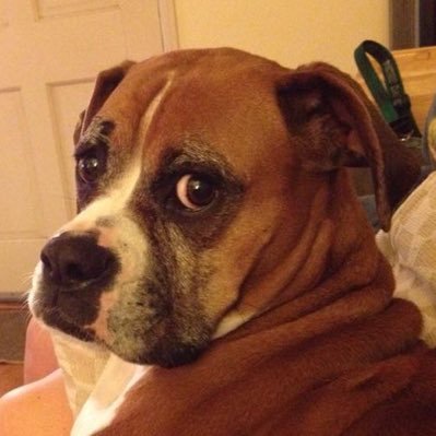 LesLukach's profile picture