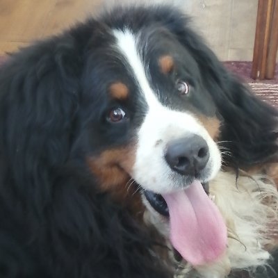 polinovskaya61's profile picture