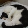 t.terashima profil fotoğrafı