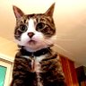 โคนัน อยู่บนดอย profil fotoğrafı