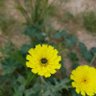 Фото профиля نــاصــر