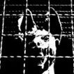 HURORU1's profile picture
