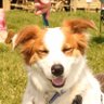 Profilbild von Tilly Edwards