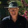 Profilbild von Cryptohorse