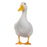 Dr Quackenbusch🇬🇧🇦🇺🇮🇱 的头像