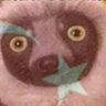 xyz's profile picture