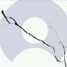 Profilbild von Oqnum
