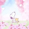 トム🐈️ 的头像