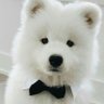 Nanaki's profile picture