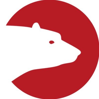 Biantaibear01's profile picture