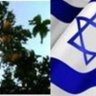 anneinpt 🍊🥑 🇮🇱 בעז״ה ננצח #JusticeforMalkiRoth profil fotoğrafı