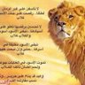 محمد ابراهيم ادم 的头像